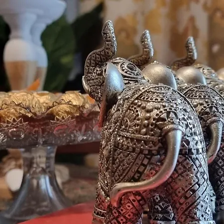 Bohemian Retro * Varna