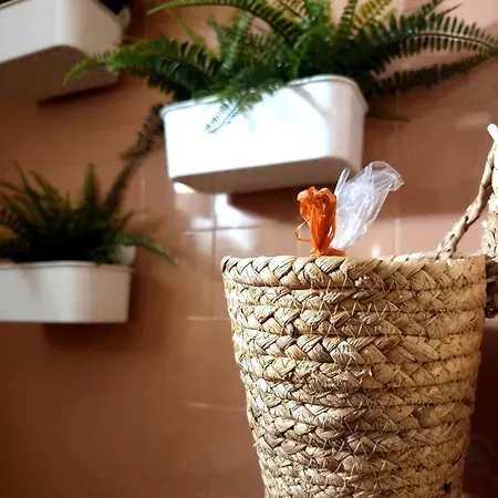 Bohemian Retro Varna