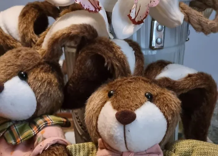 Privatunterkunft Bohemian Retro *